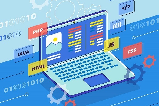 Professional Website Development Company in Gurugram